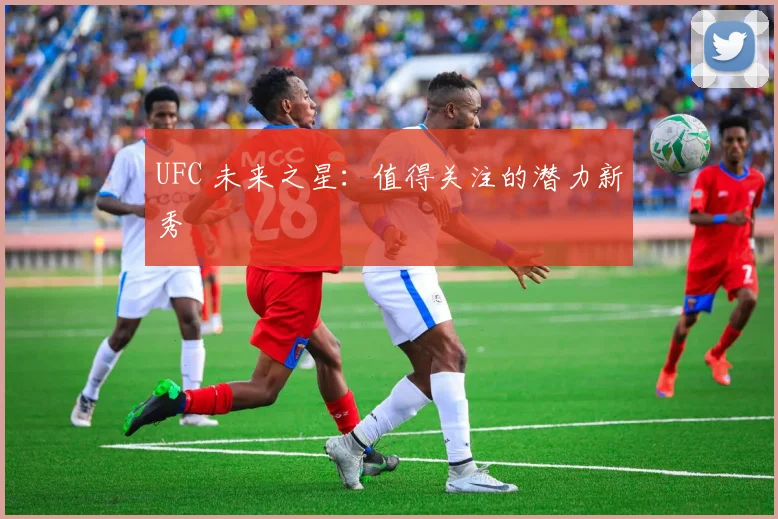 UFC 未来之星:值得关注的潜力新秀