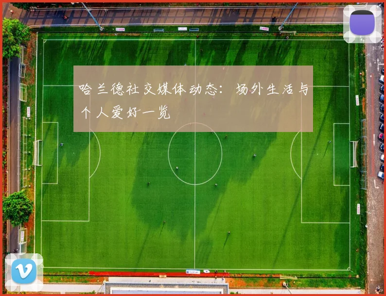哈兰德社交媒体动态:场外生活与个人爱好一览
